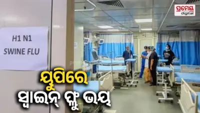 Swine Flu Scare Grips UP: ୟୁପିରେ ସ୍ୱାଇନ୍ ଫ୍ଲୁର ପ୍ରଥମ ମୃତ୍ୟୁ ! ଲକ୍ଷ୍ନୌର ହସ୍ପିଟାଲରେ ଭର୍ତ୍ତି ମହିଳା ଆଖି ବୁଜିଲେ , ଆଲର୍ଟରେ ସ୍ୱାସ୍ଥ୍ୟ ବିଭାଗ