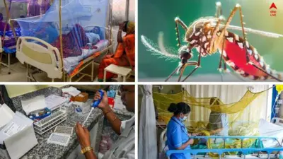 Dengue Update: ডেঙ্গি থেকে কীভাবে বাঁচবেন ? কী পরামর্শ চিকিৎসকদের ? রইল কিছু জরুরি বার্তা