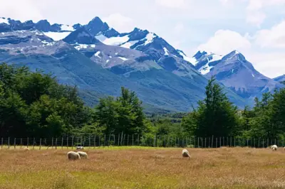Word of the Day, October 08: 'Bucolic'