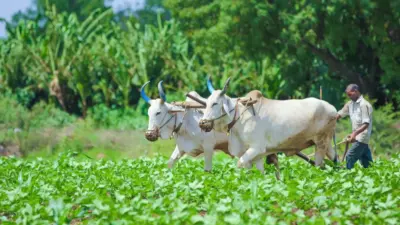 పీఎం కిసాన్ నిధులు అక్టోబర్ 17న విడుదల