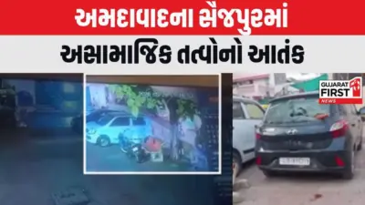 Ahmedabad News : અમદાવાદના સૈજપુરમાં અસામાજિક તત્વોનો આતંક, સોસાયટીમાં પાર્ક કરેલા વાહનોમાં તોડફોડ