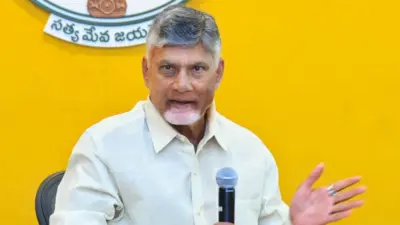 Chandrababu's Key Comments On Indigo Crisis