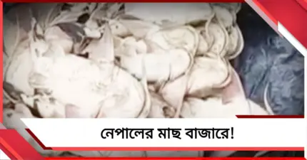 আজ মুখ্যমন্ত্রীর দক্ষিণ দিনাজপুর জেলা সফর, প্রশাসনিক বৈঠকের পর মধ্যাহ্নভোজ সুকান্তর বাড়িতে!