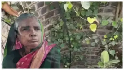 "ఆ చీకట్లో పాముల మధ్య ఏమాత్రం భయపడకుండా ఉన్న ఆ బామ్మ గుండెధైర్యాన్ని చూడండయ్యా!" నెటిజన్లను విస్మయానికి గురిచేసిన యథార్థ సంఘటన..!!!