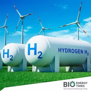 Green hydrogen can boost India's energy security: BEE chief
