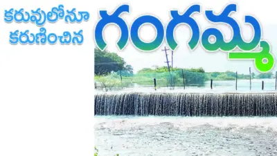 కరువులోనూ కరుణించిన గంగమ్మ..