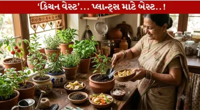 કિચનના કચરાને કચરો ન સમજો.4 વસ્તુઓથી તમારો બગીચો બનશે હર્યો-ભર્યો..!