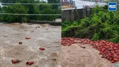 Raigad Flood : पाताळगंगा नदीत 3 हजार गॅस सिलेंडर वाहून गेले, धोक्याच्या पार्श्वभूमीवर जिल्हाधिकाऱ्यांचे मोलाचे आदेश
