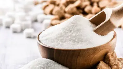 Sugar Sale New Rules: सितंबर 2026 से बदलेगा चीनी बेचने का नियम, अब हर 15 दिन में तय होगा मिलों का कोटा; जमाखोरी पर सरकार की सख्ती