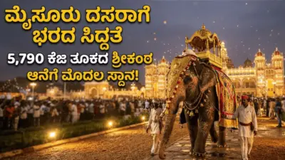 ಮೈಸೂರು ದಸರಾಗೆ ಭರದ ಸಿದ್ಧತೆ: 5,790 ಕೆಜಿ ತೂಕದ ಶ್ರೀಕಂಠ ಆನೆಗೆ ಮೊದಲ ಸ್ಥಾನ!