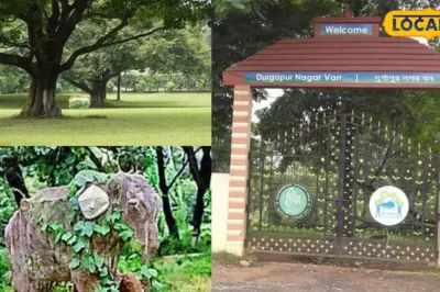 Durgapur News: দূষণ রোধে তৈরি হয়েছিল প্রকৃতির স্বর্গরাজ্য, উদ্বোধনের পর থেকেই ঝুলছে তালা! আজ দুর্গাপুর নগর বনের করুণ দশা