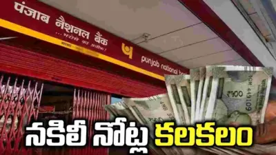 పీఎన్బీలో కరెన్సీ చెస్ట్లో నకలీ నోట్ల కలకలం.. ముగ్గురి అరెస్ట్