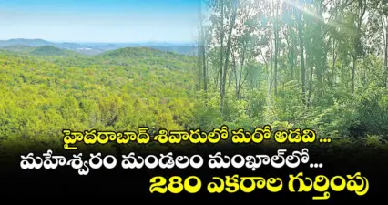 హైదరాబాద్ శివారులో మరో అడవి ... మహేశ్వరం మండలం మంఖాల్లో... 280 ఎకరాల గుర్తింపు
