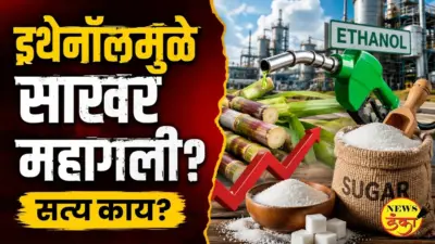 इथेनॉलमुळे साखर महागली? सत्य काय?