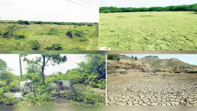 મુંદરા તાલુકાનો કાંઠાળ સીમાડો સૂકોભઠ્ઠ