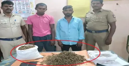 லாரியில் பதுக்கப்பட்ட கஞ்சா... 2.8 கிலோ போதைப்பொருளுடன் 2 பேர் சிக்கினர்...!