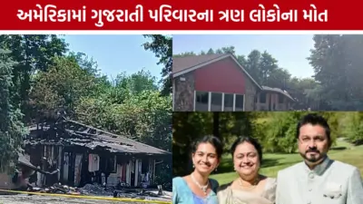 અમેરિકામાં આગની દુર્ઘટનામાં નડિયાદના એક જ પરિવારના ત્રણ સભ્યોના મોત, ઈકોનો લોજમાં ગુંગળાઈ જવાથી કરુણ અંત