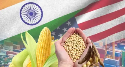 अमेरिकेच्या दबावापुढे झुकल्यास मका, सोयाबीन उद्योग संकटात
