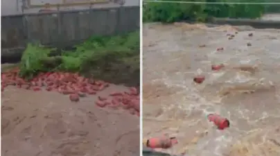 കനത്ത മഴയില് മഹാരാഷ്ട്രയിലെ എല്.പി.ജി പ്ലാന്റില് വെള്ളം കയറി; പുഴയിലിലൂടെ ഒഴുകി നീങ്ങിയത് 3000 ത്തോളം ഗ്യാസ് കുറ്റികള്