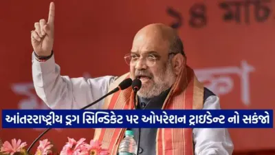 ડ્રગ્સ સામે મોદી સરકારની સૌથી મોટી કાર્યવાહી