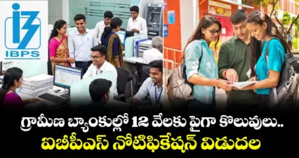 గ్రామీణ బ్యాంకుల్లో 12 వేలకు పైగా కొలువులు.. ఐబీపీఎస్ నోటిఫికేషన్ విడుదల