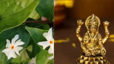 வீட்டில் பாரிஜாதம் செடி வளர்க்கலாமா? ஆன்மிக நம்பிக்கை சொல்லும் டிப்ஸ்!