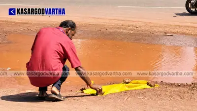 കുമ്പളയില് ചത്ത സര്പ്പത്തിന് മനുഷ്യരുടേതിന് സമാനമായ അന്ത്യകര്മങ്ങള്; വ്രതമെടുത്ത് കര്മങ്ങള് ചെയ്യാൻ തയാറെന്ന് പഞ്ചായത്ത് അംഗം