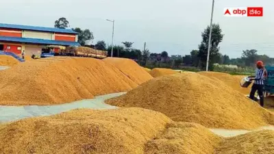 Telangana paddy cultivation reduction: తెలంగాణ వరికి కేంద్రం బ్రేక్ - 25 లక్షల ఎకరాల్లో సాగు తగ్గింపు టార్గెట్.. రైతులకు పంటల మార్పిడి సెగ!