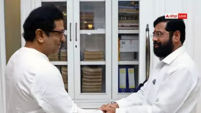 एकनाथ शिंदे को समर्थन देने के बाद राज ठाकरे के नेता की पहली प्रतिक्रिया, 'सत्ता के बिना कुछ...'
