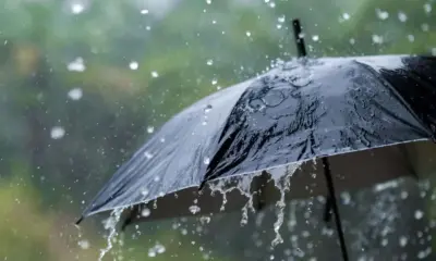 ఈ నెల 15 నుంచి వర్ష సూచన. IMD