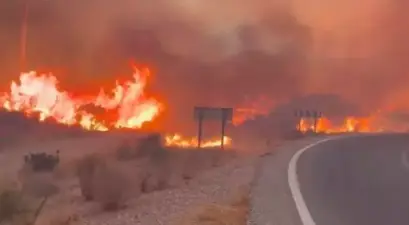 Spain Wildfire Kills 12 Amid Extreme Heat