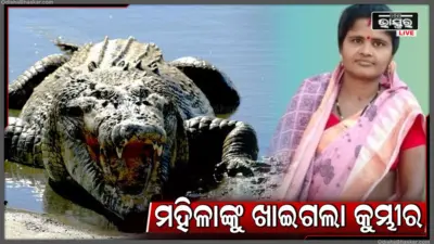 ଗାଧେଇବା ବେଳେ ମହିଳାଙ୍କୁ ଟାଣି ନେଲା କୁମ୍ଭୀର