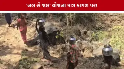 વાંસદામાં 'હર ઘર જલ' યોજના ફેલ, પાણી માટે મહિલાઓનો આકરો સંઘર્ષ