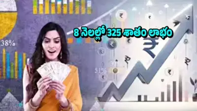 Penny Stocks: ధర రూ.20లోపే.. 8 నెలల్లో 325 శాతం పెరిగిన 10 పెన్నీ స్టాక్స్ ఇవే.. లక్ష పెడితే రూ.4.25 లక్షలొచ్చాయ్..!