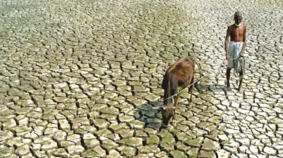 ఎల్నినో పట్ల రైతులకు అవగాహన అవసరం!