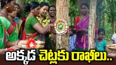 లక్ష చెట్లకు రాఖీలు.. ప్రకృతి పరిరక్షణకు జార్ఖండ్ ప్రజల కంకణం!