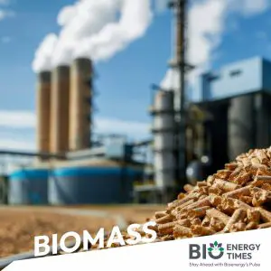Graphyte, JPMorgan Chase sign long-term deal to scale carbon removal