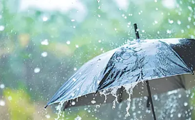 ఈ ఏడాది ముందుగానే నైరుతి రుతుపవనాలు
