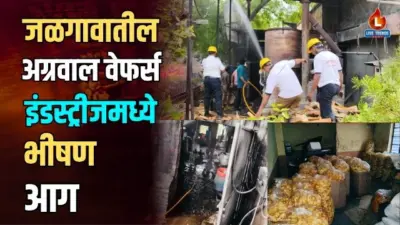 जळगावातील अग्रवाल वेफर्स इंडस्ट्रीजमध्ये भीषण आग