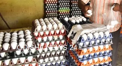 ଖାଉଟିଙ୍କୁ ମହଙ୍ଗା ମାଡ଼: ବଜାରରେ ହଠାତ୍ ୨ ଟଙ୍କା ବଢ଼ିଲା ଅଣ୍ଡା ଦାମ୍, କାରଣ କହିଲେ ମନ୍ତ୍ରୀ