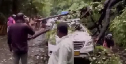 താമരശ്ശേരി ചുരത്തില് കാറിന് മുകളിലേക്ക് മരം ഒടിഞ്ഞുവീണു; ഗതാഗതം പൂര്ണ്ണമായും തടസ്സപ്പെട്ടു