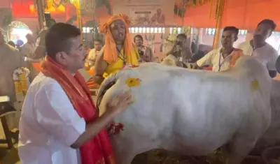 बंगालमध्ये मुख्यमंत्री सुवेंदू अधिकारी यांनी इस्कॉन मंदिरात केली गौपूजा