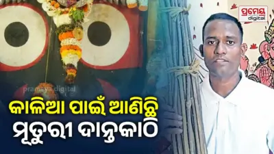ଘଞ୍ଚ ଜଙ୍ଗଲରୁ ଆଣିଲେ ମୂତୁରୀ ଦାନ୍ତକାଠି, ମହାପ୍ରଭୁଙ୍କୁ କଲେ ସମର୍ପଣ...