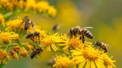 In Decisive Ruling, Court Finds Government Failed to Protect More Than 1,500 Endangered Species From Toxic Pesticide Malathion