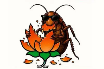 டெல்லியை கதிகலங்க வைத்திருக்கும் கரப்பான்பூச்சி கட்சி