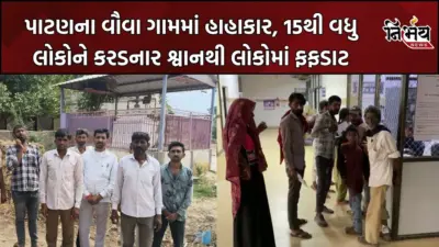 Patan : સાંતલપુરના વૌવા ગામમાં હાહાકાર; કલાકોમાં 15થી વધુ લોકોને કરડનાર શ્વાનથી ફફડાટ, ગામ લોકો હથિયારો લઇ કરી રહ્યા છે પહેરેદારી