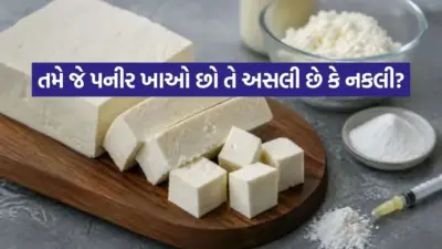 એનાલોગ પનીર શું છે? અસલી પનીરથી તે કેમ અલગ છે? જાણો કિંમતનો તફાવત, ઘરગથ્થુ ટેસ્ટ અને તેના પર પ્રતિબંધનું કારણ