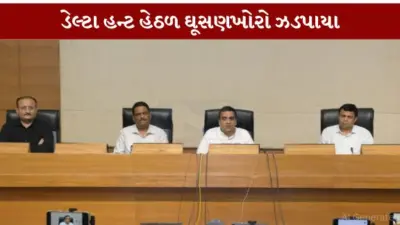 રાષ્ટ્રીય સુરક્ષા માટે ગુજરાત પોલીસનું ઓપરેશન ડેલ્ટા હન્ટ