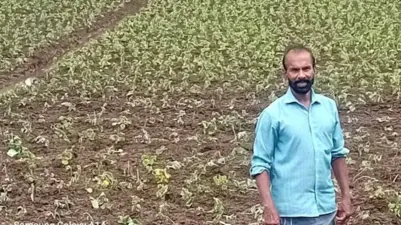 'ഇരുവേലി' ഔഷധ കൃഷിയിലേക്ക് നെല് കര്ഷകര്