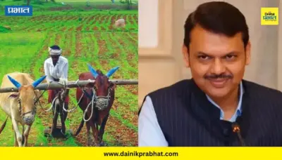 Farmer Loan Waiver : शेतकरी कर्जमाफीबाबत संभ्रम? पात्रतेसंदर्भात मुख्यमंत्री फडणवीसांनी स्पष्ट केली भूमिका